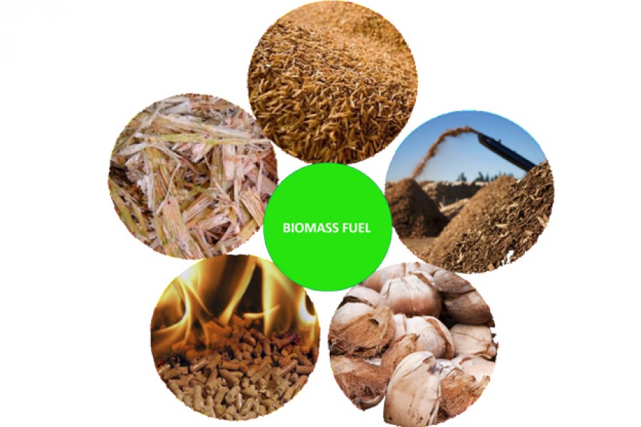 KINH DOANH NHIÊN LIỆU BIOMASS